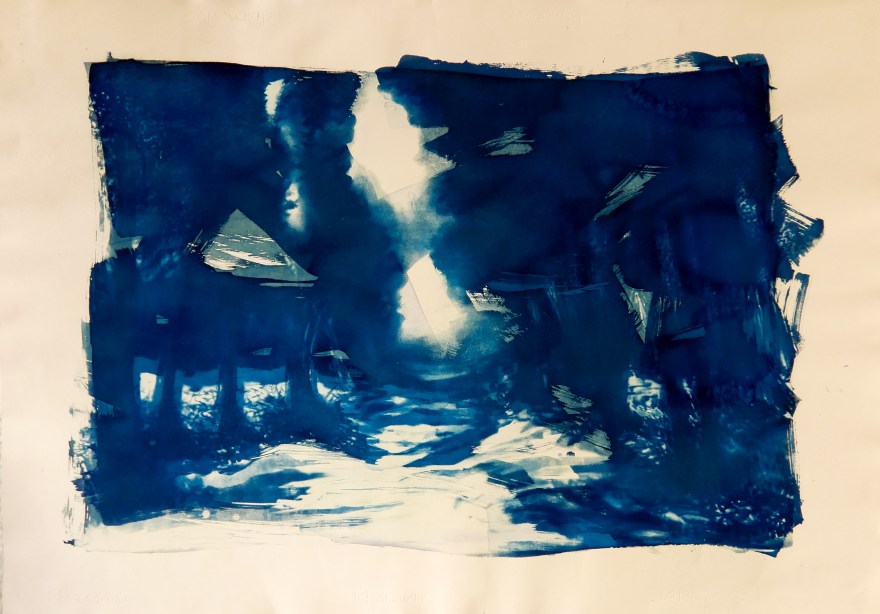 CIANOTÍPIA #3  2017 70 x 100 S TITULO.jpg